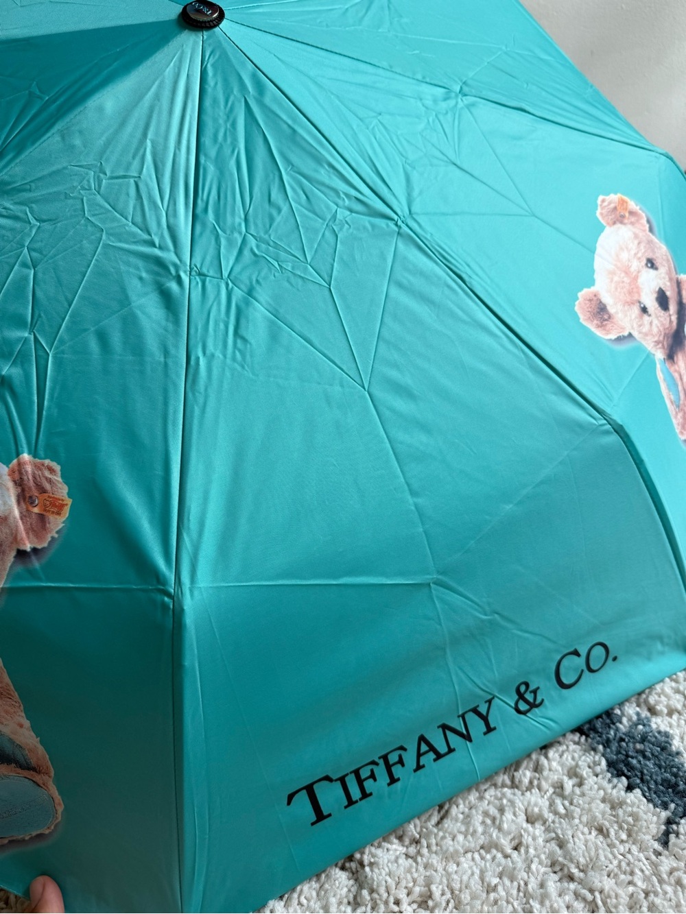 Tiffany & Co. Teal Umbrella with Teddy Bear Motif New in box NO TAG - Picture 5 of 7